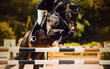 A majestic horse and rider clear a hurdle with ease on a summer day. The breathtaking display of athleticism and teamwork showcases the beauty and thrill of equestrian sport.
