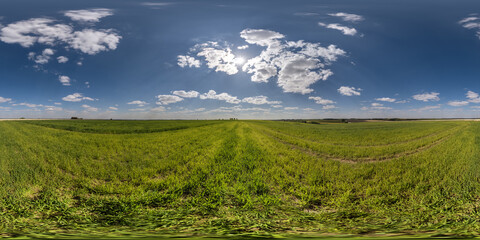 Wall Mural - spherical 360 hdri panorama among green grass farming field with clouds on blue sky in equirectangul