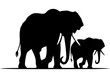 Silhouette of two elephants walking together, elephant family illustration