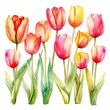 watercolor red tulips isolated on white background. Generated AI