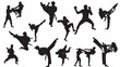 © Manoel - silhouette set, martial arts, jiu jitsu, karate, taekwondo, kung fu, capoeira, fight