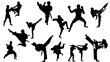 © Manoel - silhouette set, martial arts, jiu jitsu, karate, taekwondo, kung fu, capoeira, fight