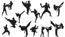 Silhouette Set, Martial Arts, Jiu Jitsu, Karate, Taekwondo, Kung Fu, Capoeira, Fight