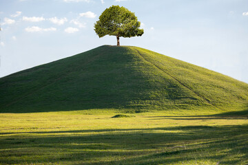 Wide landscape with mountain and a tree on top. low and uniform lawn, clean and bright scenery