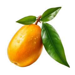 Wall Mural - Mango fruit isolated. Illustration AI Generative.