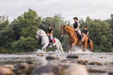 Three rider girls crossing the calm river water riding their beautiful horses on the cloudy summer day. Concept of equestrian leisure activity.
