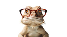 A Happy-looking Bearded Dragon Wearing Thin-rimmed Glasses Isolated On A Transparent Background, Generative Ai