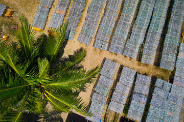 Wall Mural - aerial view of fish farm during drying fish process	