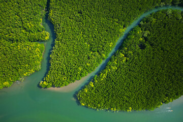 Wall Mural - Aerial view of mangrove in Ao thalane-Thailand	