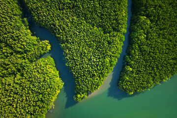 Wall Mural - Aerial view of mangrove in Ao thalane-Thailand	