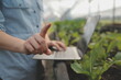 © ARMMY PICCA - Asian woman farmer using digital tablet in vegetable garden at greenhouse, Business agriculture technology concept, quality smart farmer.