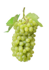 Wall Mural - Bunch of green grapes isolated