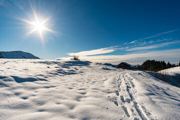 Canvas Print - Winter hike on the Nagelfluhkette in the beautiful Allgau Alps