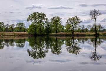 Canvas Print - Fishpond in Miedzyrzecze Gorne, Silesia region of Poland