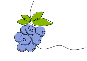Wall Mural - blueberry continuous one line drawing, fruit vector illustration.