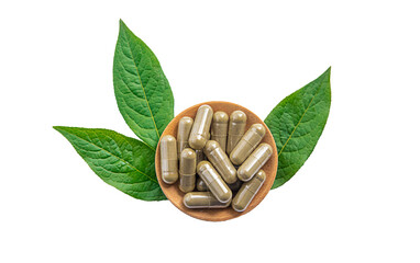 Herb supplement capsules on green leaf isolate on white background. Selective focus.