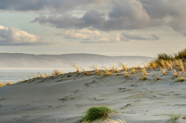 Wall Mural - Cap Ferret Beach, France