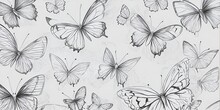 Drawn Butterflies. Entomological Collection. Retro Vintage Style.