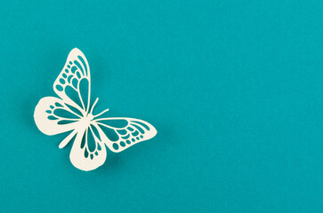 The Paper butterfly carve on a green background with empty space.