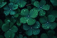 A Photo Of A Bunch Of Clover Leaves Surrounded By Drops Of Rainwater, In The Style Of Dark Emerald And Light Emerald. Generative AI.