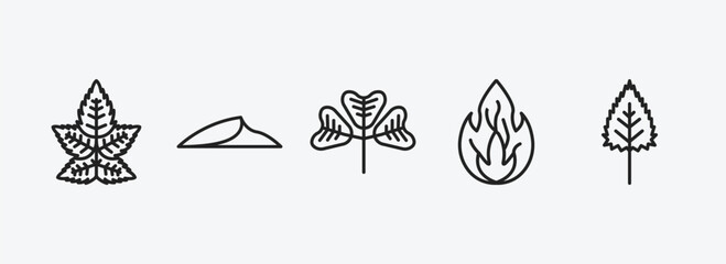 Wall Mural - nature outline icons set. nature icons such as liquidambar leaf, dune, trifoliate ternate, burning flames, birch leaf vector. can be used web and mobile.