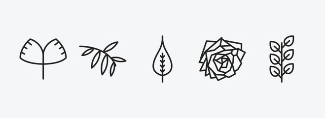 Wall Mural - nature outline icons set. nature icons such as ginkgo, black willow, poplar leaf, roses, bilberry le