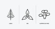 nature outline icons set. nature icons such as larch, iris, slippery elm tree vector. can be used web and mobile.