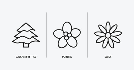 Wall Mural - nature outline icons set. nature icons such as balsam fir tree, pointia, daisy vector. can be used web and mobile.