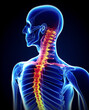 © devilkiddy - Human Skeleton Depicting the Spine and Neck, Back Pain, Neck Pain in X-ray Film Style