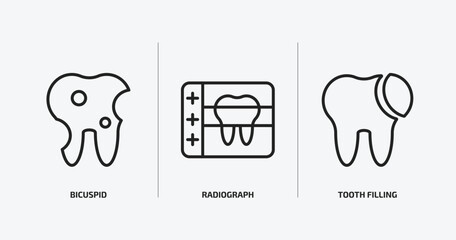 Wall Mural - dentist outline icons set. dentist icons such as bicuspid, radiograph, tooth filling vector. can be used web and mobile.