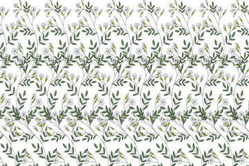 Sticker - Illustration, Gypsophila flower on white background.