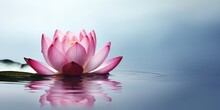 Zen Lotus Flower On Water, Meditation Concept, Illustration Generative Ai