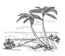 Sketch Landscape With Palm Tree. Vacation On Tropical Beach, Paradise By Ocean Hand Drawn Vector Background Illustration