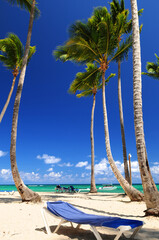 Wall Mural - Sandy beach on Caribbean resort with tall palm trees