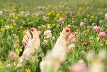 Female Feet With A Pedicure On A Summer Blossoming Lawn
