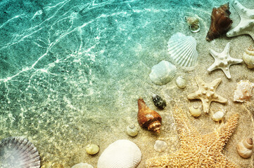 Wall Mural - Starfish and seashell on the summer beach in sea water. Summer background. Summer time.