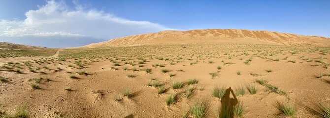 Wall Mural - desert landscape in oman, Wahiba sands