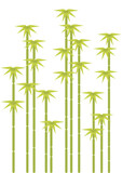 Fototapeta Sypialnia - green bamboo tree silhouettes, vector background