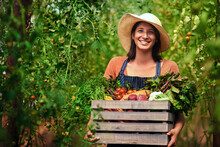 Farmer, Agriculture And Portrait Of Woman With Box On Farm After Harvest Of Summer Vegetables. Farming, Female Person And Smile With Crate Of Green Product, Food And Agro In Nature For Sustainability