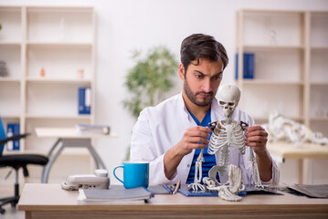 Wall Mural - Young male doctor studying human skeleton at the hospital