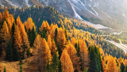 autumn in the mountains