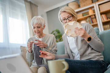 Wall Mural - two women senior mature knitting and embroidery during leisure time