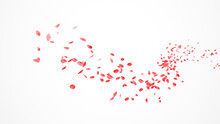 Red Rose Petals Fly In The Air On A White Background. Red Roses Petals Flow In The Wind Isolated On White Background. Abstract Red Leaves Flower Blow On Curve Path On White Background. 3d Render
