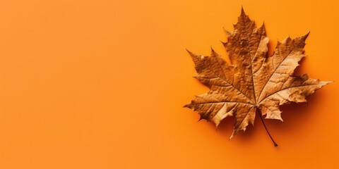 big maple leaf with copy space on orange background. generative ai.