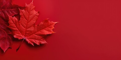 big maple leaf with copy space on red background. generative ai.