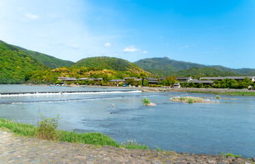 Wall Mural - 渡月橋から見える夏の嵐山