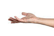 © uv_group - Woman hand shows open palm isolated on white background, with clipping path.  Five fingers. Full Depth of field. Focus stacking. PNG