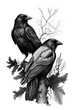 Two black raven in Art black drawn in Charcoal Ink and Pencil