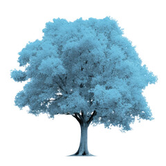 blue tree isolated on white