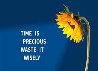 Time is precious waste it wisely. Motivational quote on letterboard on pink background. Top view Flat lay Copy space Concept inspirational quote of the day